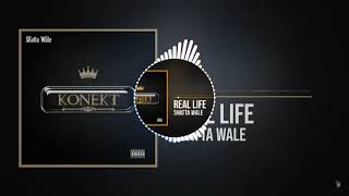 Shatta WaleReal life Instrumental [upl. by Marguerie]