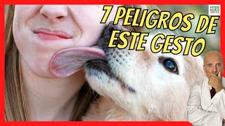 ⚠️ 7 ENFERMEDADES QUE TRANSMITEN LOS PERROS POR LA SALIVA ⚠️ [upl. by Tdnaltroc670]