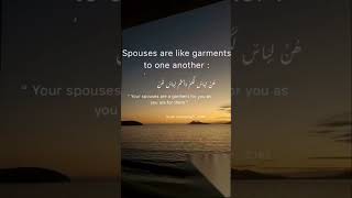 Spouses🤲🏻❤️ allah alquran love islamicquotes quotes nasheed [upl. by Cotterell]