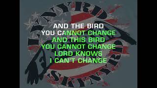 Lynyrd Skynyrd  Free Bird Retromans karaoke version [upl. by Ahsimrac]