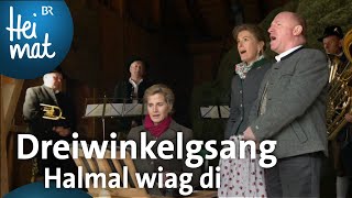 Dreiwinkelgsang Halmal wiag di  BR Heimat  Zsammgspuit  Volksmusik [upl. by Gerson732]