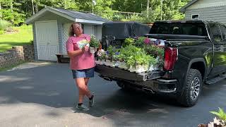 Deer Resistant Perennials for Our Northern Michigan Garden [upl. by Marline]