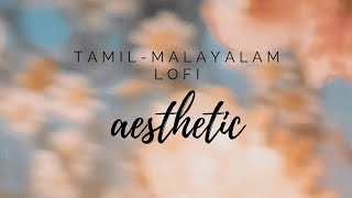 aesthetic tamil malayalam lofi songs to relax 🎧 [upl. by Mairym]