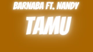 Tamu Barnaba Ft Nandy Cover by Lynn Petra Lyric Video [upl. by Nnawtna]