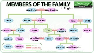 Members of the Family in English  Learn English Vocabulary  Family Tree in English [upl. by Oznarol]