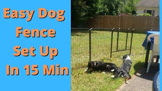 Best Easy Dog Fence 15 Min Install [upl. by Nitsirc]