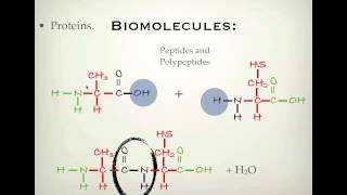 VCE Chemistry UNIT 4 Proteins p1  Zwitterions and peptides [upl. by Karina]