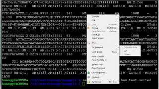 Week 513 Computer Lab  Reads mapping and variant calling English Subtitles [upl. by Reagen694]