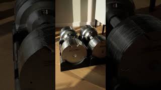 Cool Adjustable Dumbbells for Home Workout Sessions [upl. by Dabney]