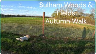 Sulham Woods in Autumn and fencing in the fields [upl. by Annekcm238]