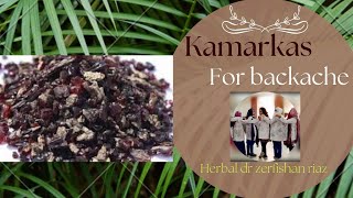 Uses and Benefits of Kamarkas  Butea Frondosa  Palas gond  Dhaak gond [upl. by Ortrude]