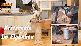 Kratzsäule für Katzen selber bauen [upl. by Rowe]