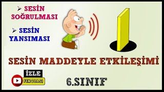 SESİN MADDE İLE ETKİLEŞİMİ SES YALITIMI 6SINIF [upl. by Langdon]