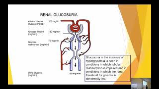 UA Lecture 5 Glucose and Ketones [upl. by Nnahaid]