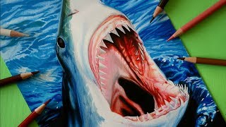 Drawing a white shark with 3D technique  Time Lapse [upl. by Budge]