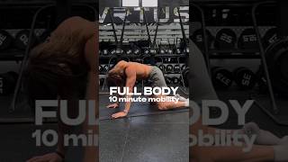 10 min mobility  FULL BODY [upl. by Ecadnac]