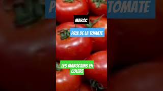 Ramadan le prix de la tomate repart à la hausse [upl. by Hendricks]