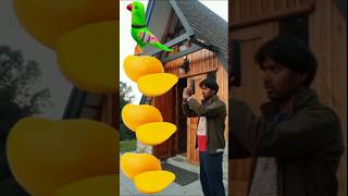 Rounding account to pigeon duck peacock amp parrot  Birds name magic video [upl. by Analaf]