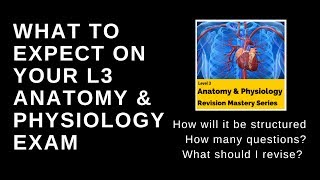 What to expect on your level 3 anatomy and physiology exam [upl. by Defant]