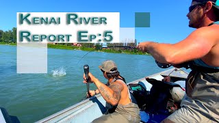 Kenai River Alaska Sockeye Salmon Fishing Report Secret Soldotna Boat Update [upl. by Kerk]