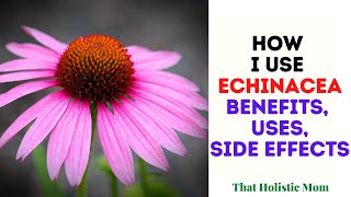 How I Use Echinacea [upl. by Aleac]