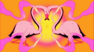 Flamingosis  Nebula Gazer Visualizer [upl. by Bedell]