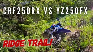 Honda CRF250RX vs Yamaha YZ250FX Ridge Trail Hot Lap 4stroke [upl. by Torrey]