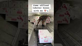 Come offload lobster boxes with me 🦞🛬 travel seafood [upl. by Pardew83]