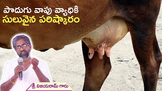 quotపొదుగు వాపు వ్యాధిquot కి సులువైన పరిష్కారంProtecting Cows from Mastitis [upl. by Ikkela]