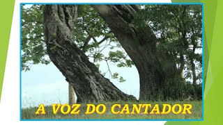 A VOZ DO CANTADORGOIANO E PARANAENSECompGoiano [upl. by Eladnar]