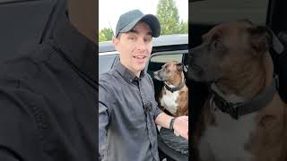 Cant get the barking to stop Try this dogtraining dogtrainingtips dogtrainingadvice boise [upl. by Fonz]