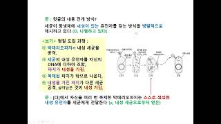 235국어와과학 항생제 내성 돌연변이 접합 형질 전환 형질도입 내성유전자 박테리오파지 [upl. by Archle349]