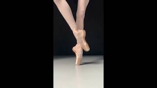 ARIAL Pointe Shoes [upl. by Ahsitauq]