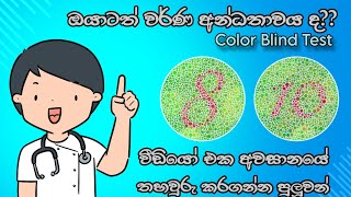 Ishihara Color Blind Test  වර්ණ අන්ධතාවය පරීක්ශාව 👀💫  Colour Vision Test anjanakorea2025 2024 [upl. by Llerehs]