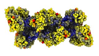 Color protein conformations using ChimeraX [upl. by Yltnerb]