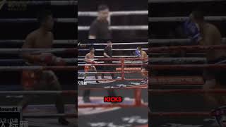 Tai Chi Master vs Muay Thai Fighter – A Fight Ends in Devastating KO [upl. by Maureene]