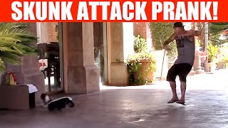 Skunk Attack Spray Prank [upl. by Angell]