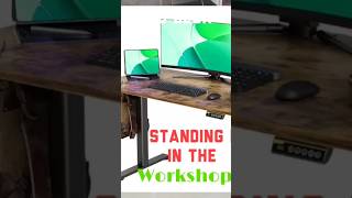 Are Standing Desks Overrated My 1 Month Review diy [upl. by Dnaltiak844]