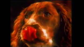 Mr Kipling Chocolate Cakes Commercial 1990 [upl. by Okihsoy]