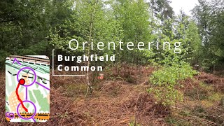 Orienteering  Burghfield Common orienteering [upl. by Katonah]