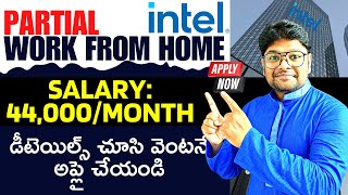 Intel Mega Hiring  Salary 44k  Intel Recruitment 2023  Latest jobs 2023 in Telugu [upl. by Marrissa]