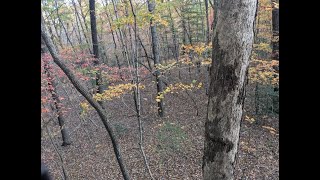 NEAR CATASTROPHE While Deer hunting Tennessee WMA Public Land [upl. by Rockel]