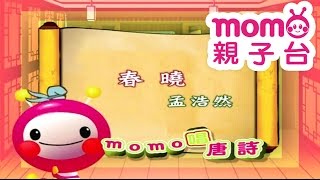 m o m o唱唐詩【春曉】孟浩然｜親子一起輕鬆哼唱學唐詩｜唐詩300首｜中文｜詩詞歌畫｜文學｜童謠【親子台｜官方HD】momokids [upl. by Erma503]