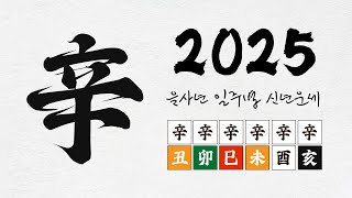 2025 을사년 신년운세 신금일간이 성공적 결과를 위해 가야할 방향은 [upl. by Uok179]