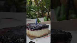 Cheese Cake from Bakingo Bangalore [upl. by Ymereg]