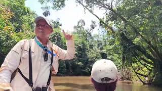 My first day in the Jungle of Cuyabeno  Ecuador Amazing boat Trip on the Cuyabeno River [upl. by Artaed]