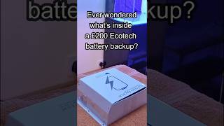 Whats inside the Ecotech battery backup [upl. by Atirrehs506]