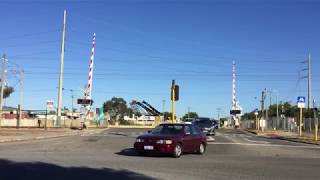 Railway Crossing TransWA Oppersite Transperth Train Western Australia Bassendean [upl. by Rimma]