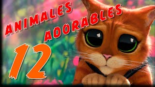 Conoce los 12 Animales más Adorables [upl. by Anirtak]