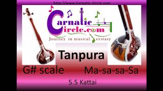 Tanpura Drone G Scale with Ma string  5 kattai [upl. by Tnomyar]